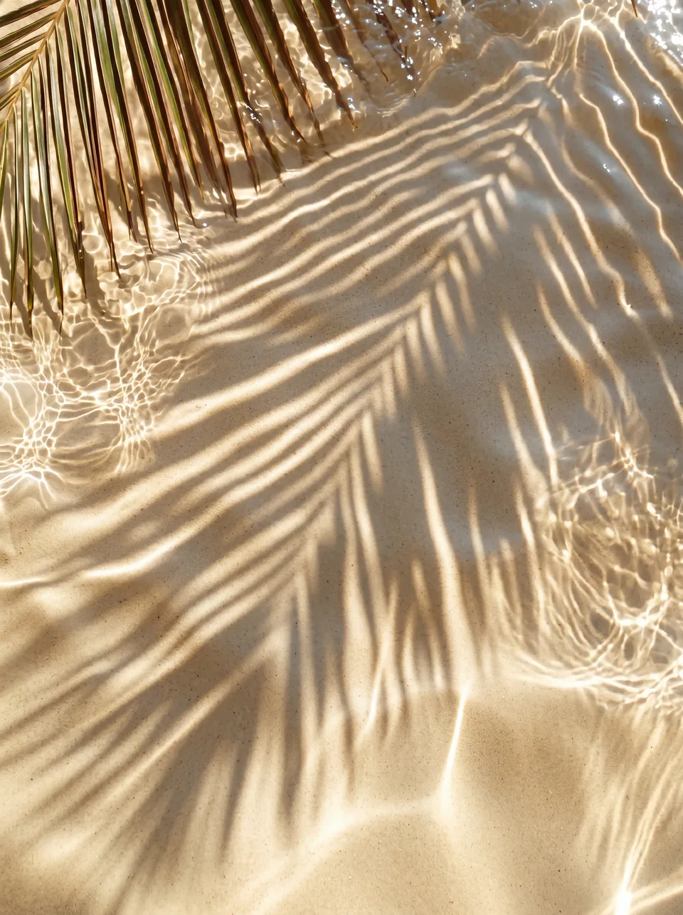 Alive with light